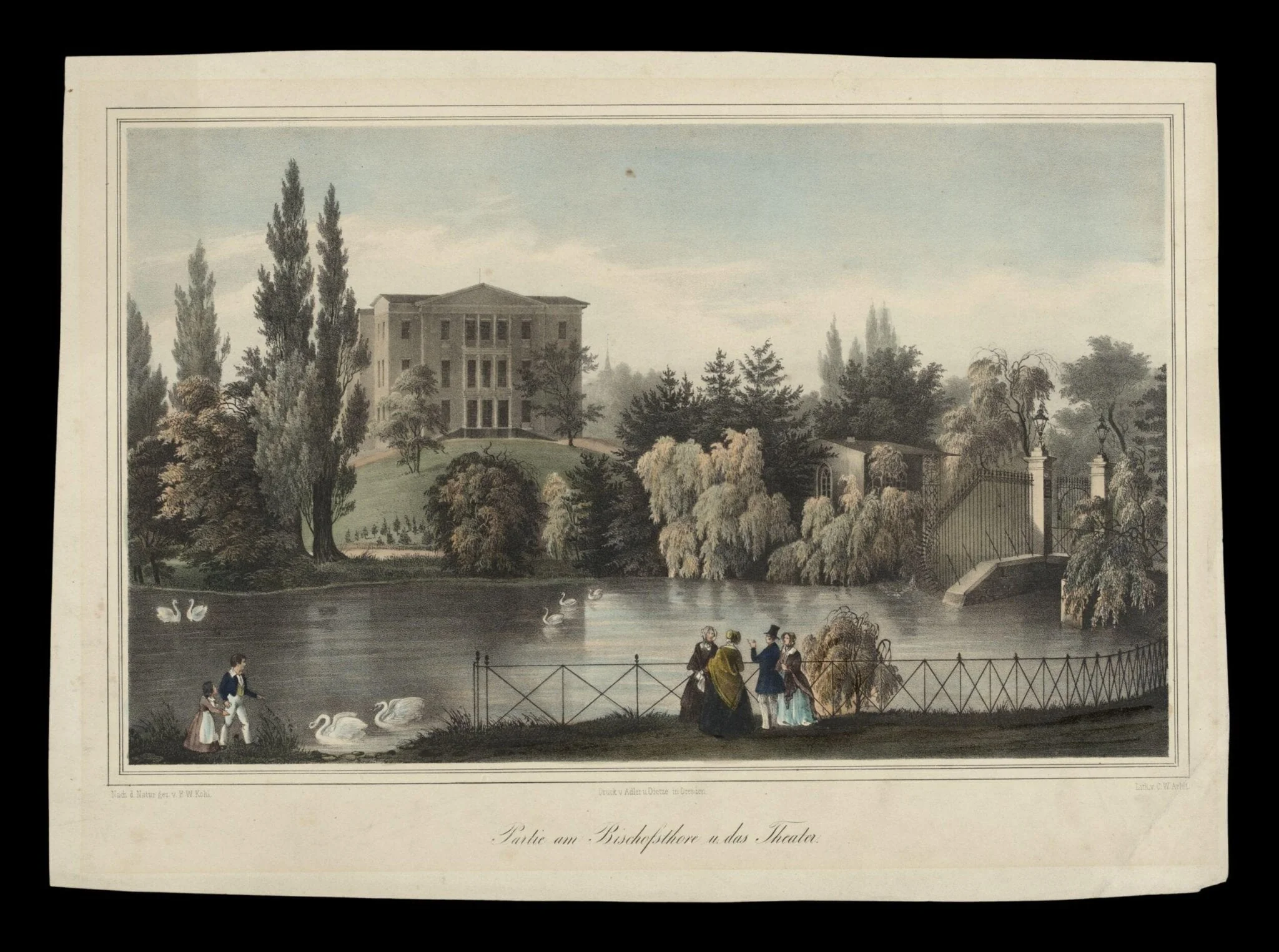 H Beard Print Collection