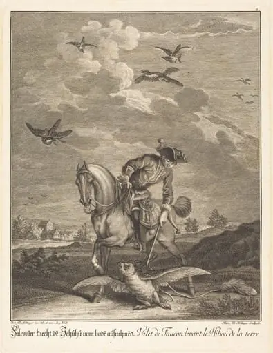 Falconeer Lifting an Owl from the Ground