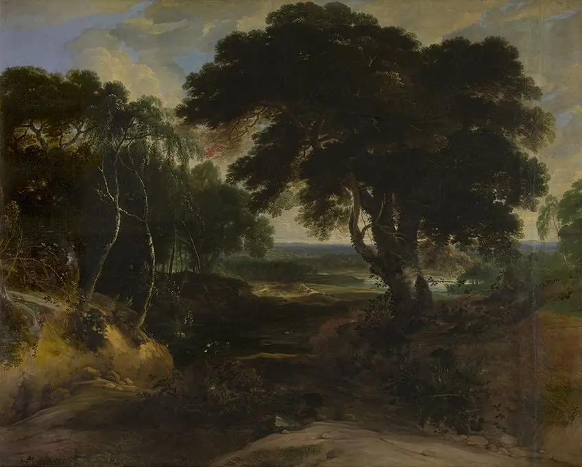Wooded Landscape