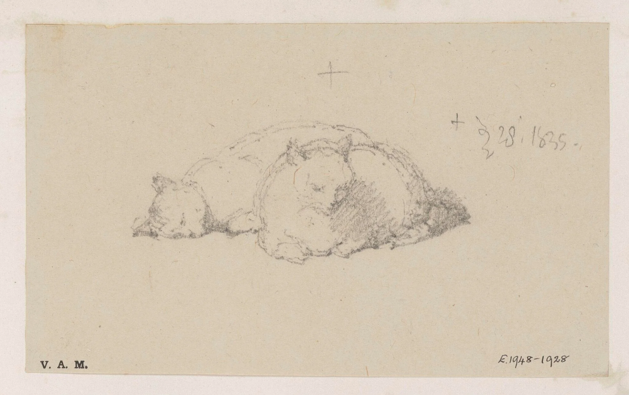 Two cats, by George Chinnery, 20