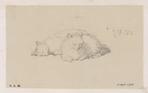 Two cats