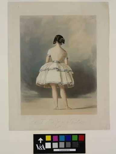 The Pet of the Ballet.