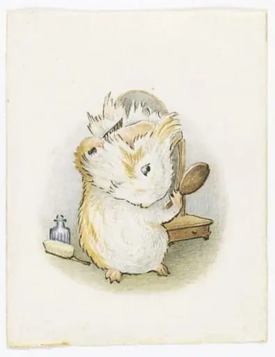 The Amiable Guinea-pig