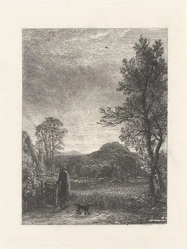 The Skylark