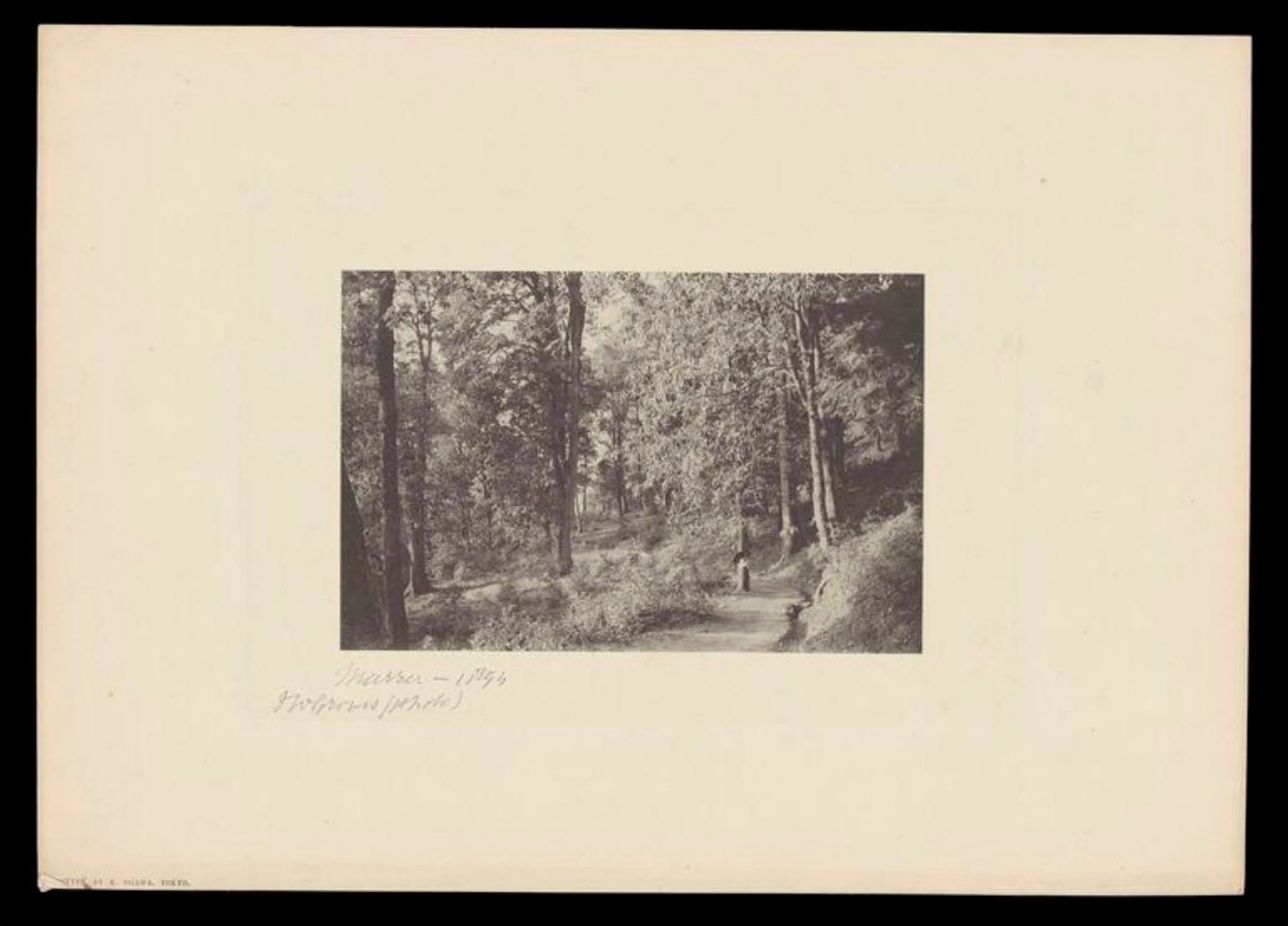 Murrer, by J.W. Groves, photographic, 1894
