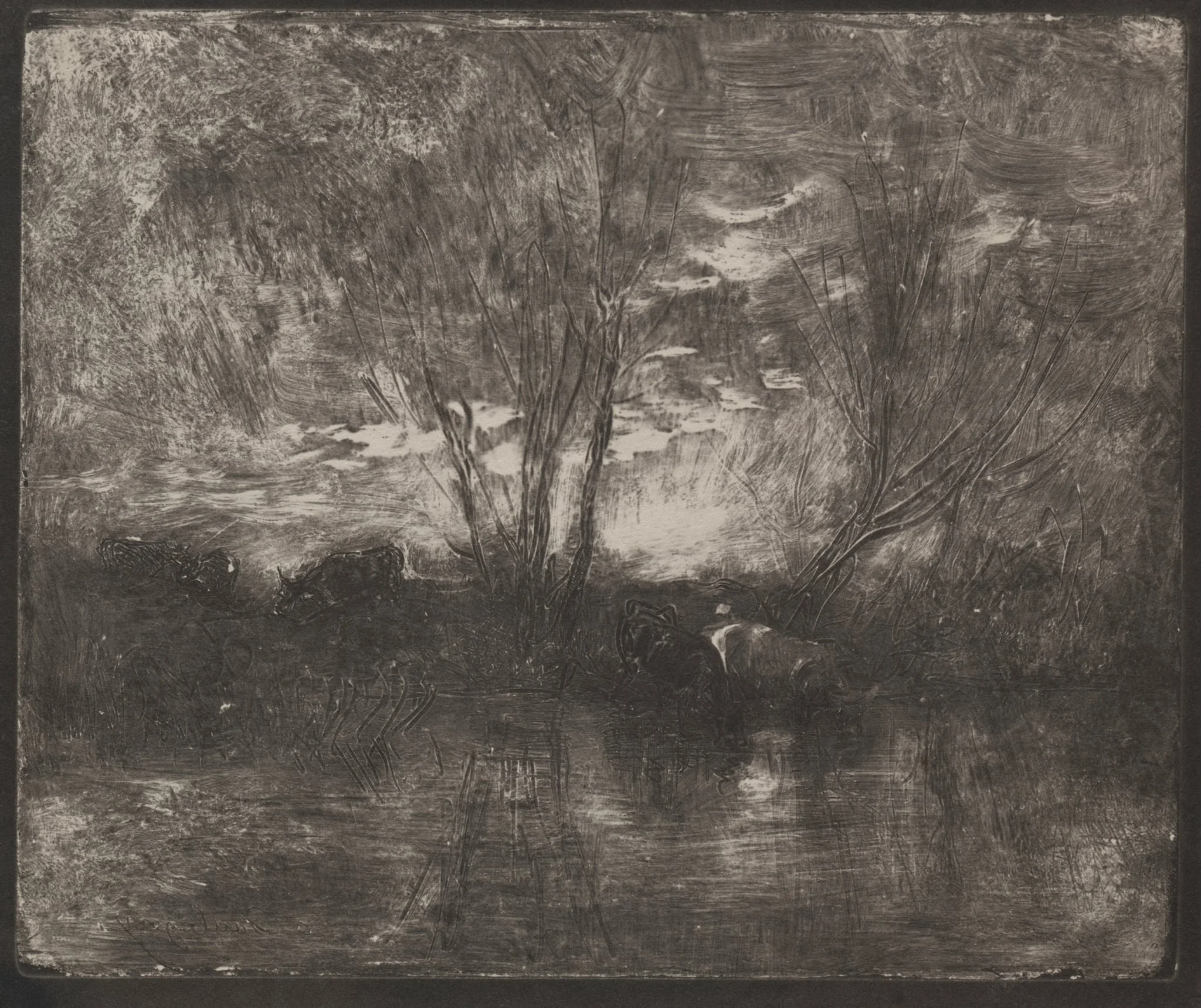 Cows at a Watering Place, by Charles François Daubigny, 1862
