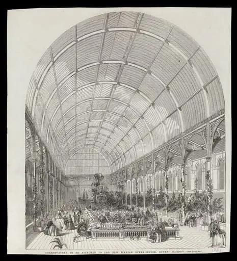 H Beard Print Collection