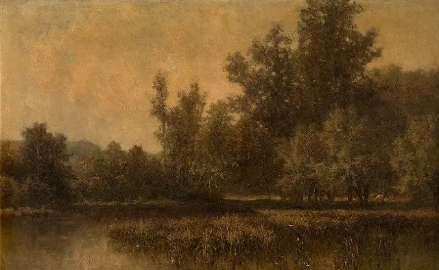 Swamp