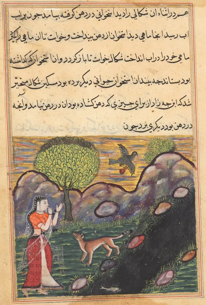 The daughter-in-law of the king of Banaras sees the jackal deprived of its food by a bird, as it unsuccessfully attempts to catch a fish, from a Tuti-nama (Tales of a Parrot): Sixteenth Night
