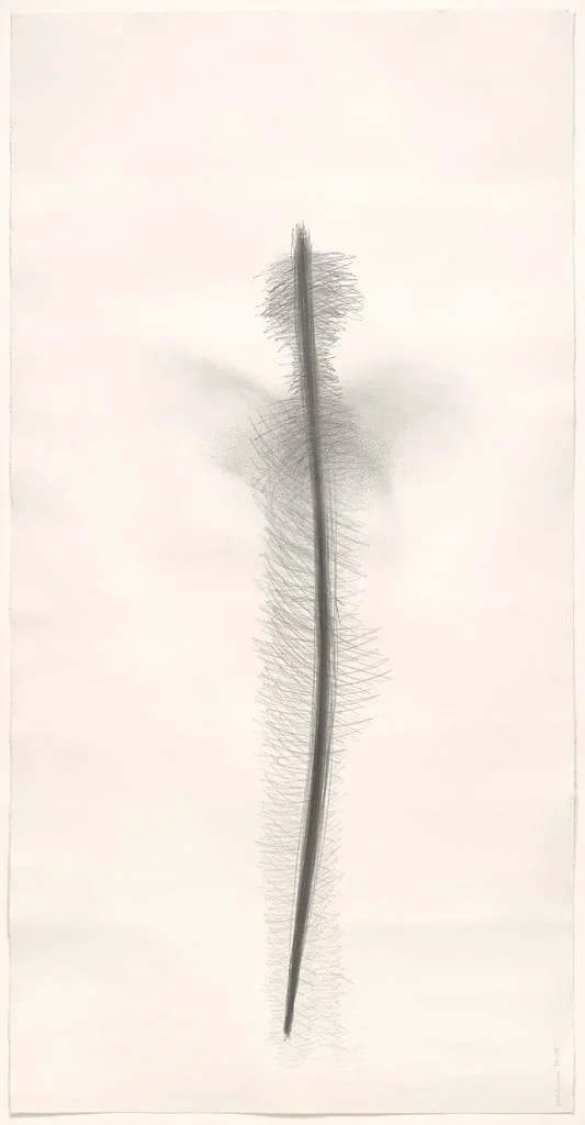 Untitled, by Tom Marioni, graphite, 1990