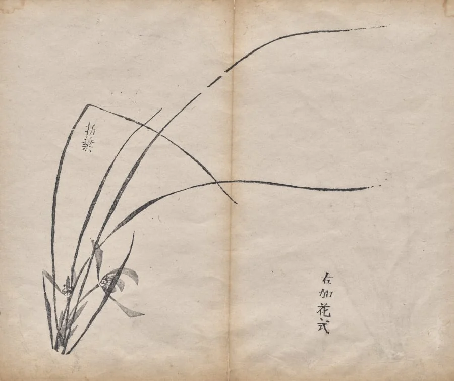 Untitled, by Unknown, 1625
