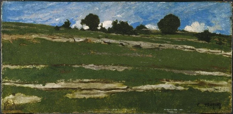 Hillside with Rocky Outcrops, by Constant Troyon, oil, 1850