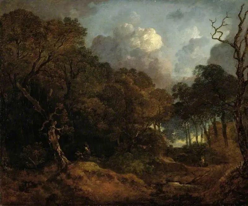 A forest road