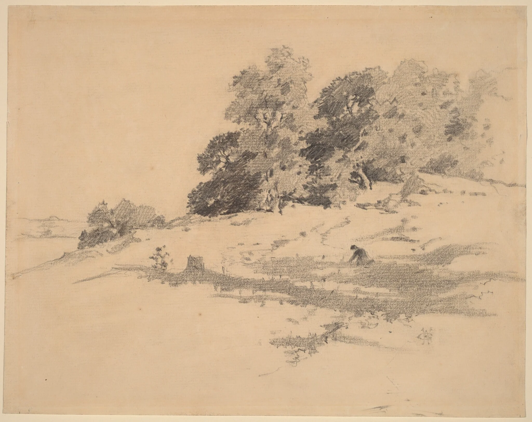 Landscape near Washington, Connecticut, by William Hamilton Gibson, graphite, 1873