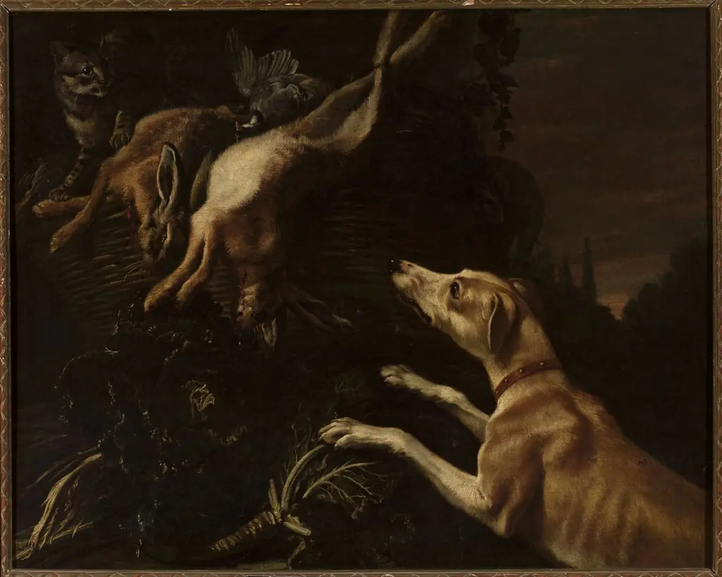 Dog attacking a cat