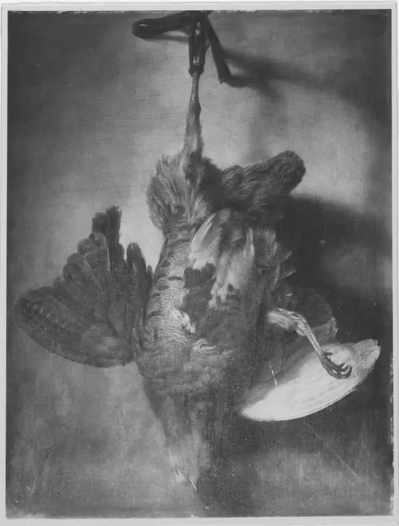Q30094163