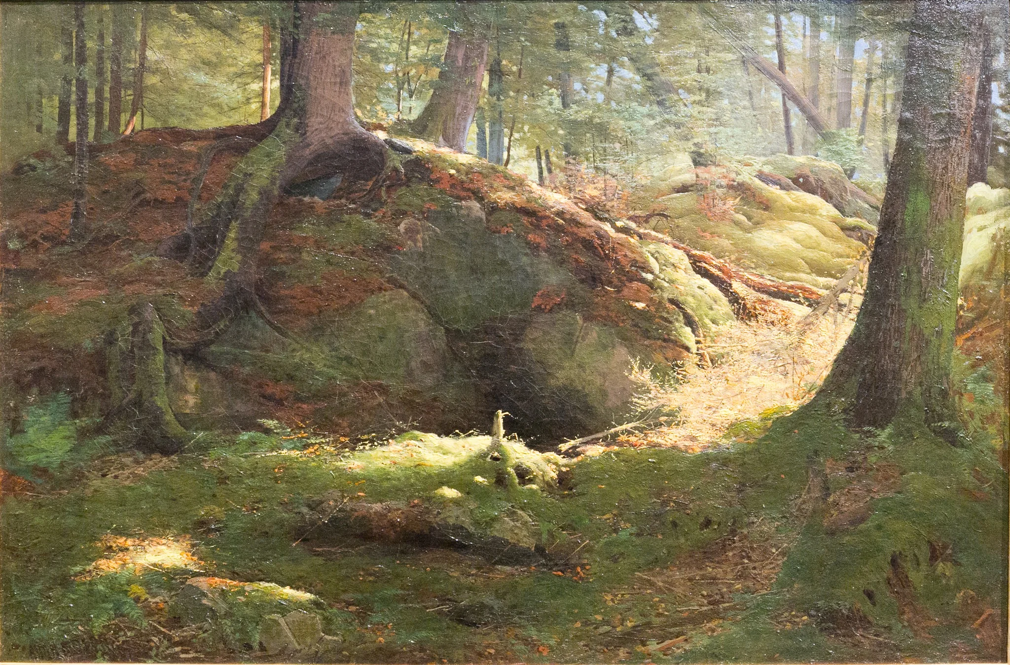 Deep in the Woods