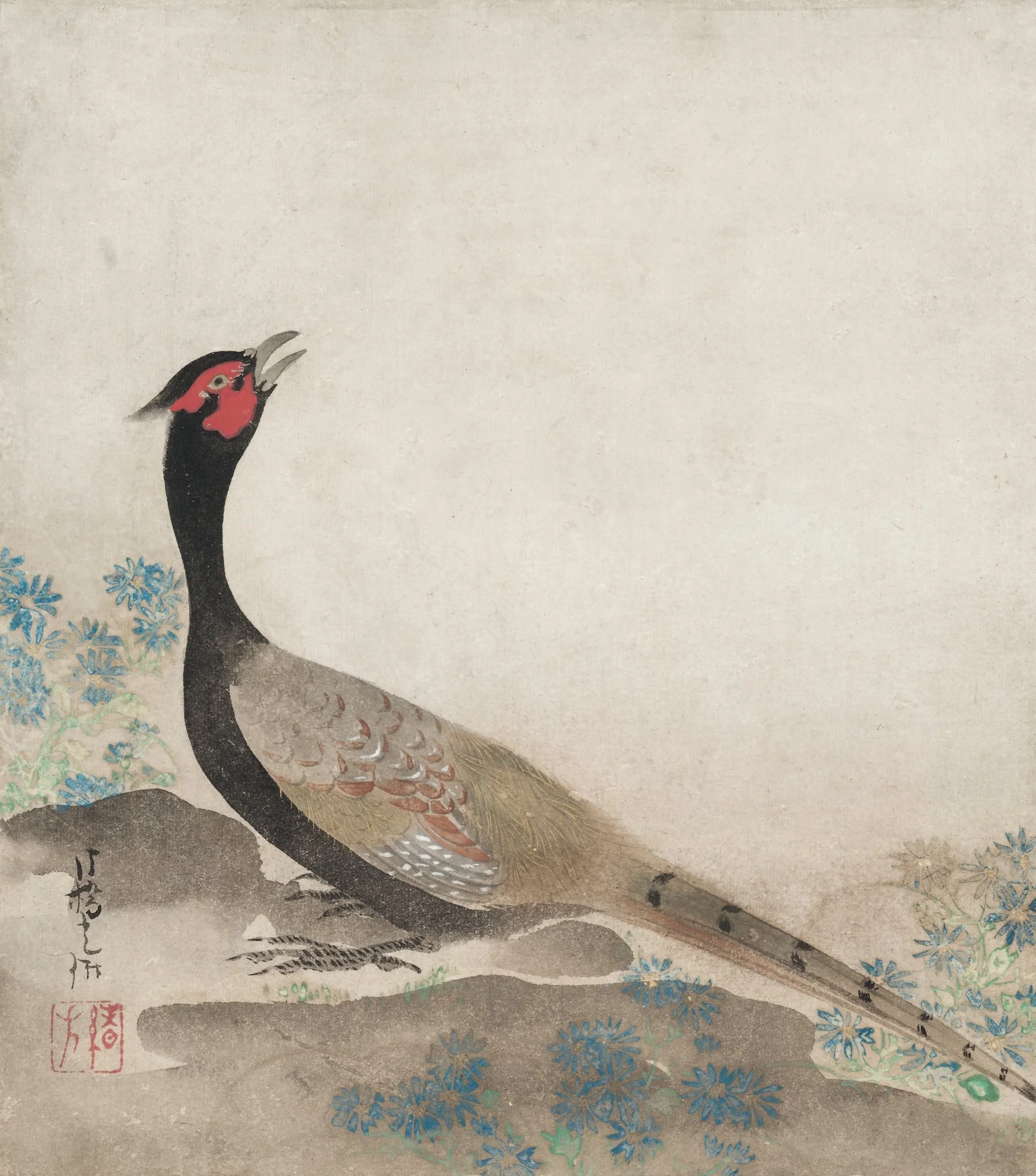 Pheasant, by Ogata Kōrin, unspecified, 1687