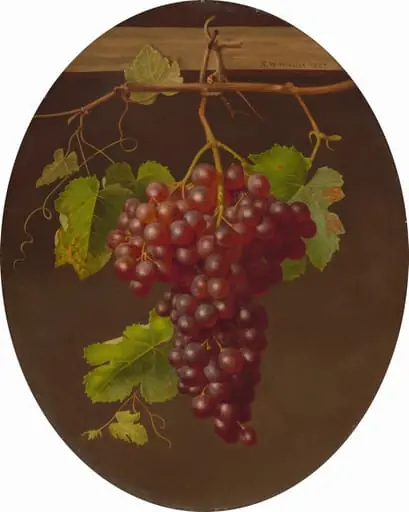 Hanging Bunch of Grapes