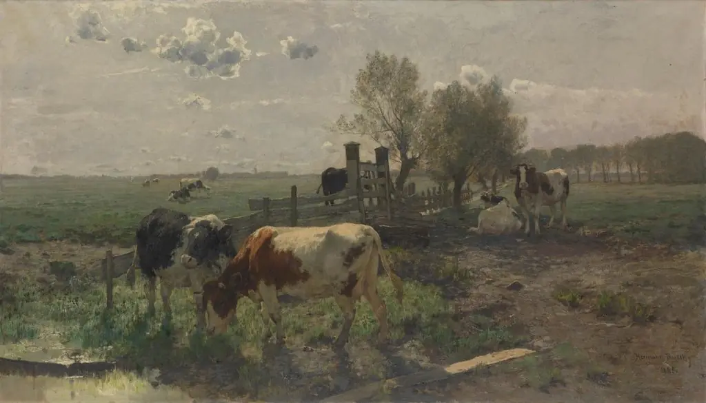 Dutch pastures, morning