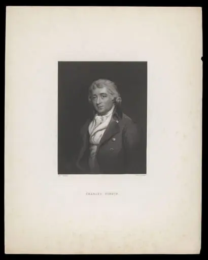 H Beard Print Collection