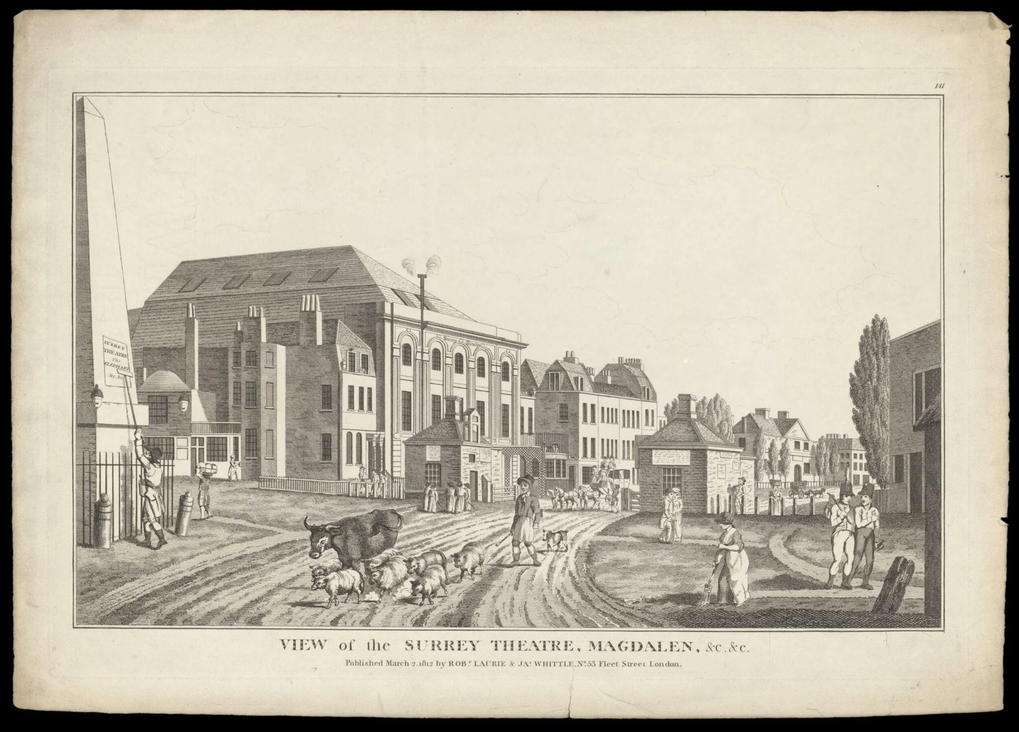 H Beard Print Collection, by Eastgate, 2