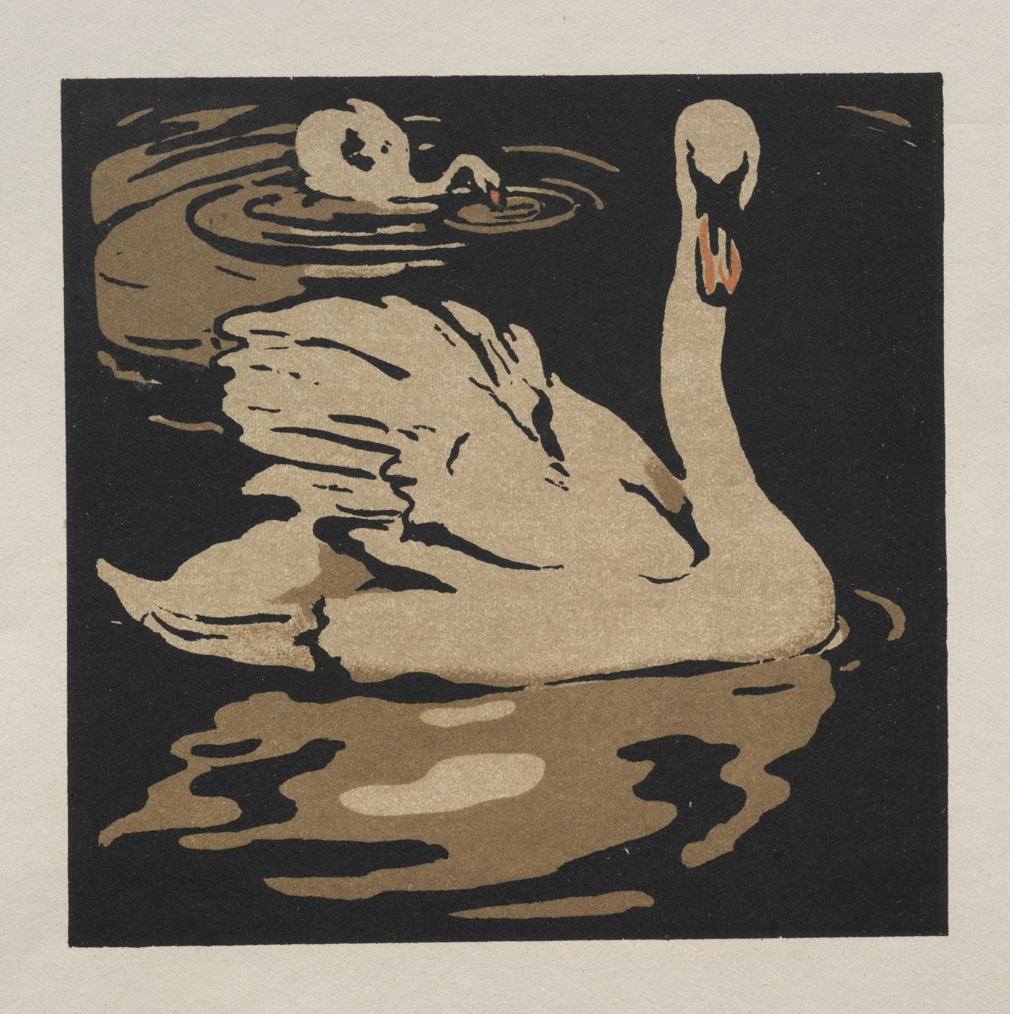 The Square Book of Animals: The Beautiful Swan, by William Nicholson, 1899