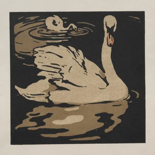 The Square Book of Animals: The Beautiful Swan