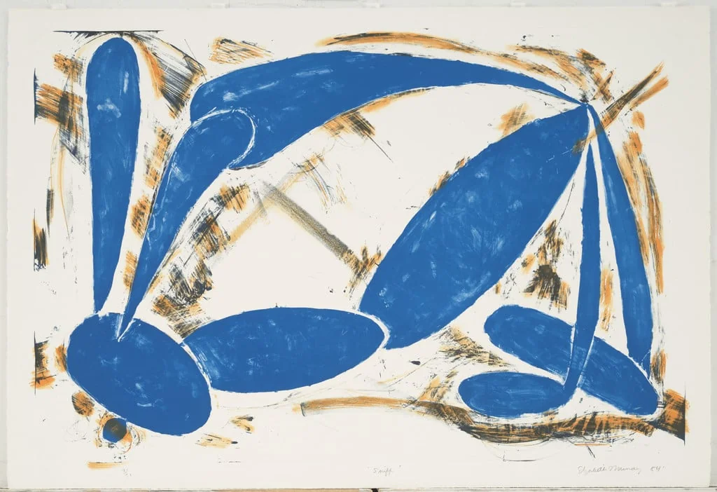 Untitled, by Elizabeth Murray, ink, 1984