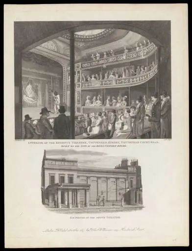 H Beard Print Collection