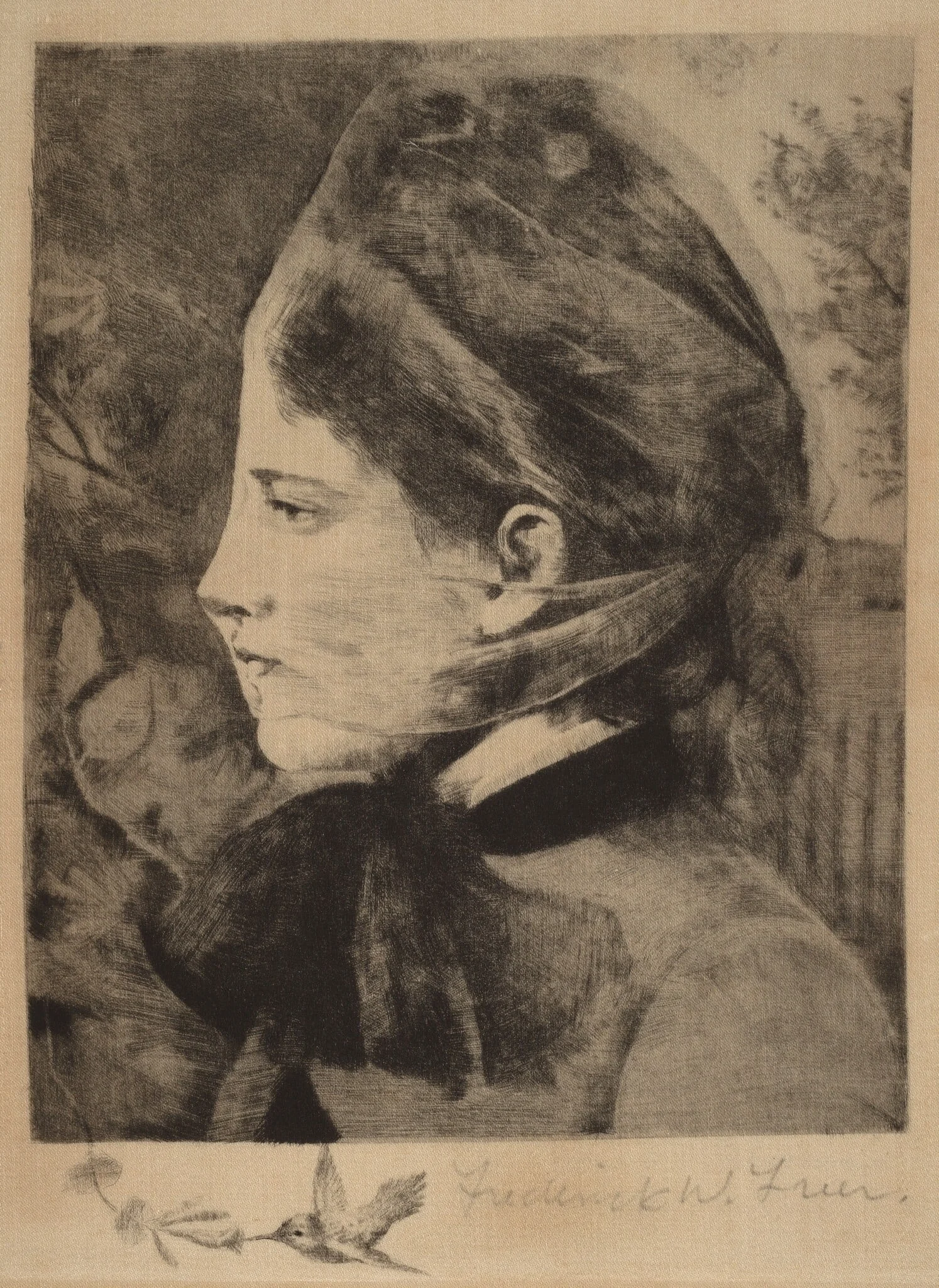 Honeysuckle, by Frederick W. Freer, ink, 1887