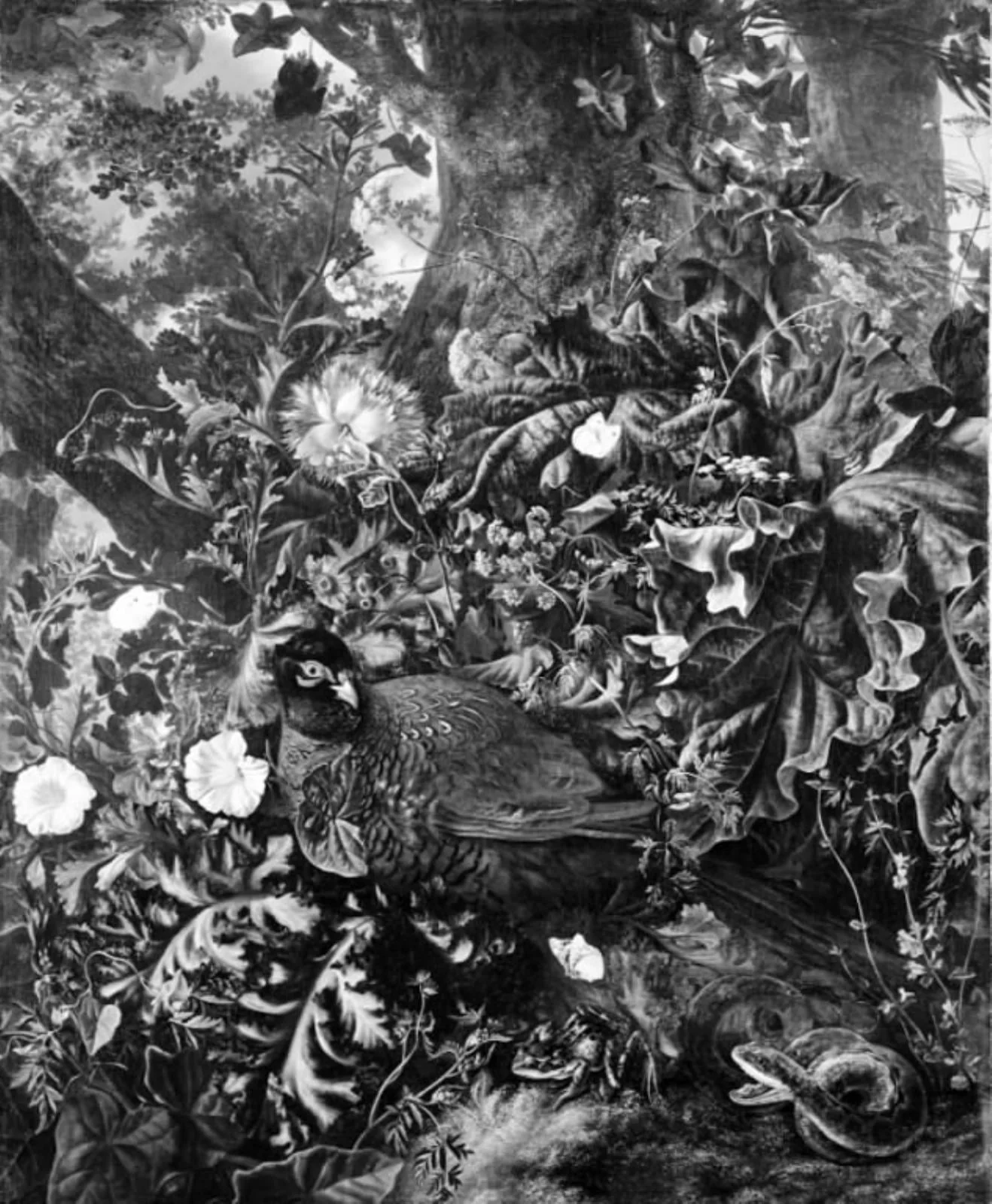A Brooding Pheasant, by Unknown, 1650