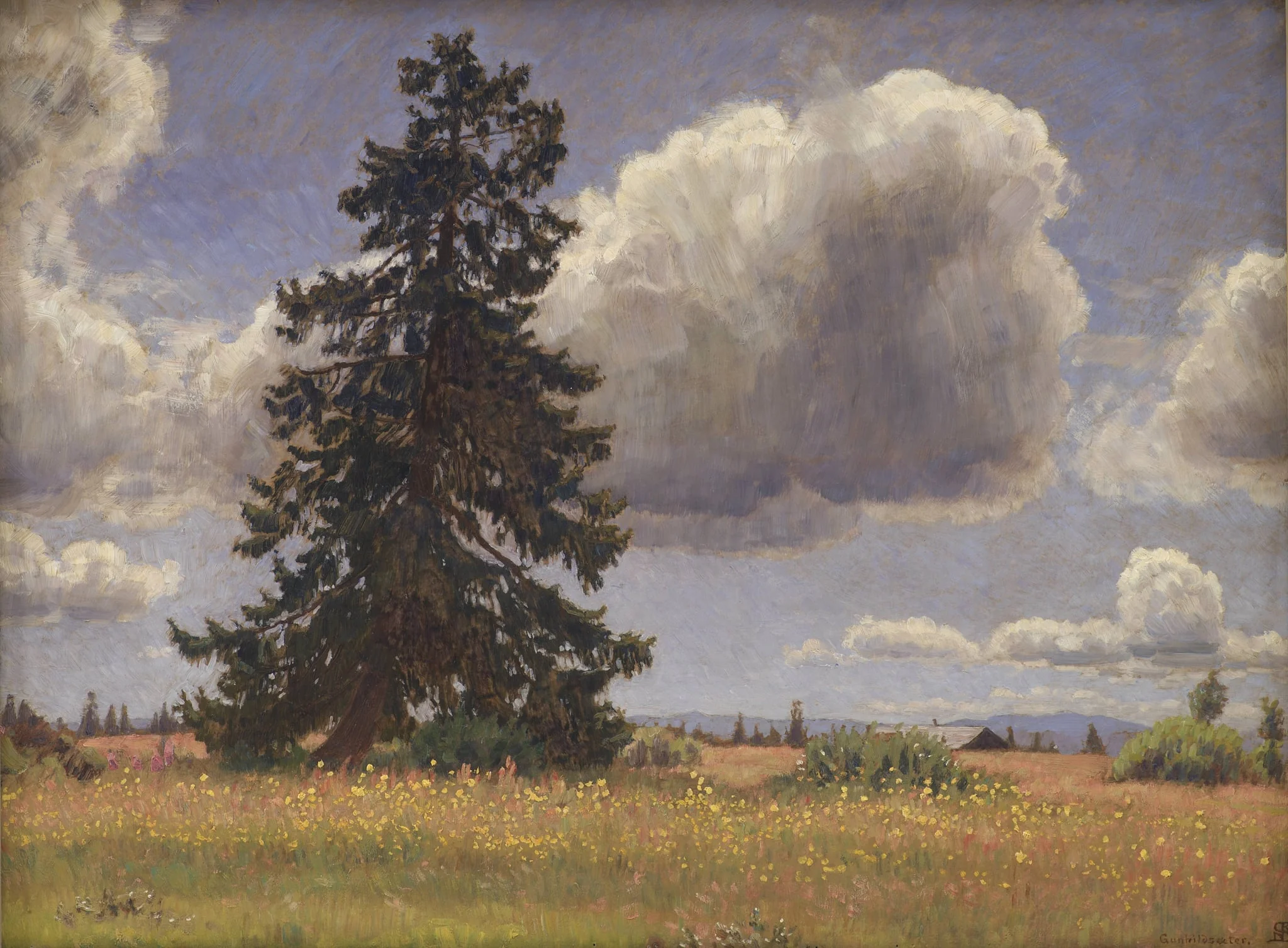 Spruce Tree in a Summer Pasture. Norway, by Unknown, 1914