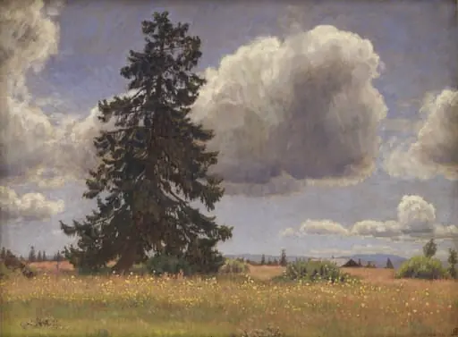 Spruce Tree in a Summer Pasture. Norway