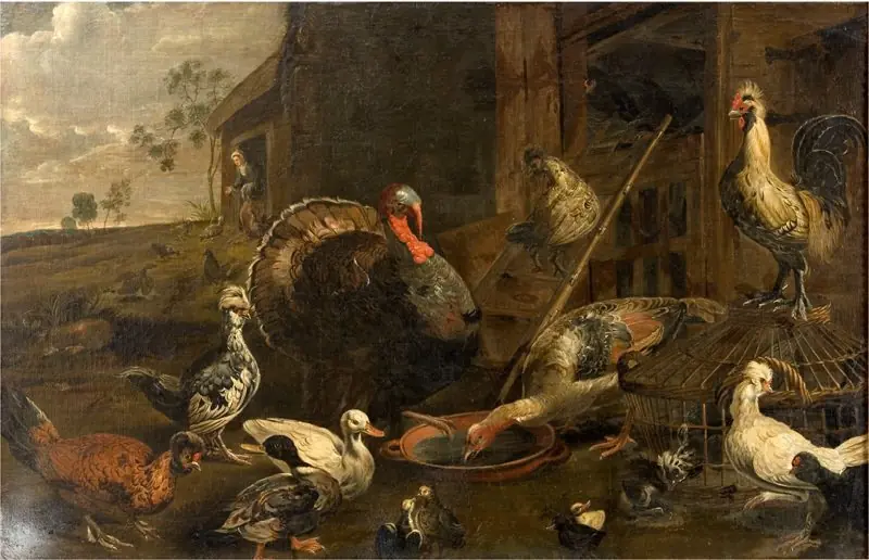 Hens, Ducks and a Turkey Cock