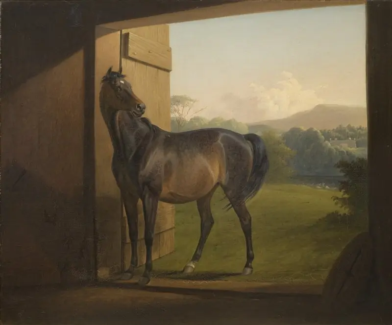 Reveller Mare