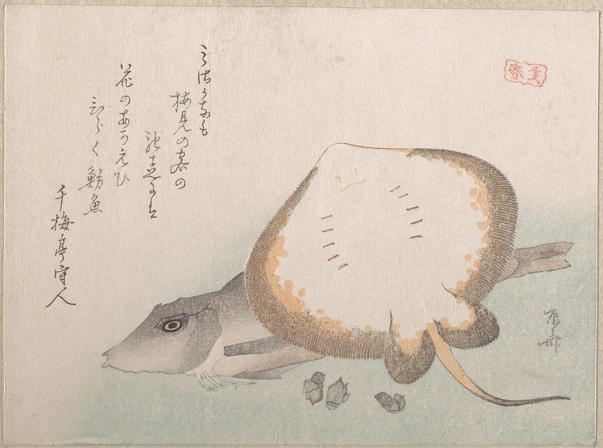 Untitled, by Ryūryūkyo Shinsai, ink, 1815