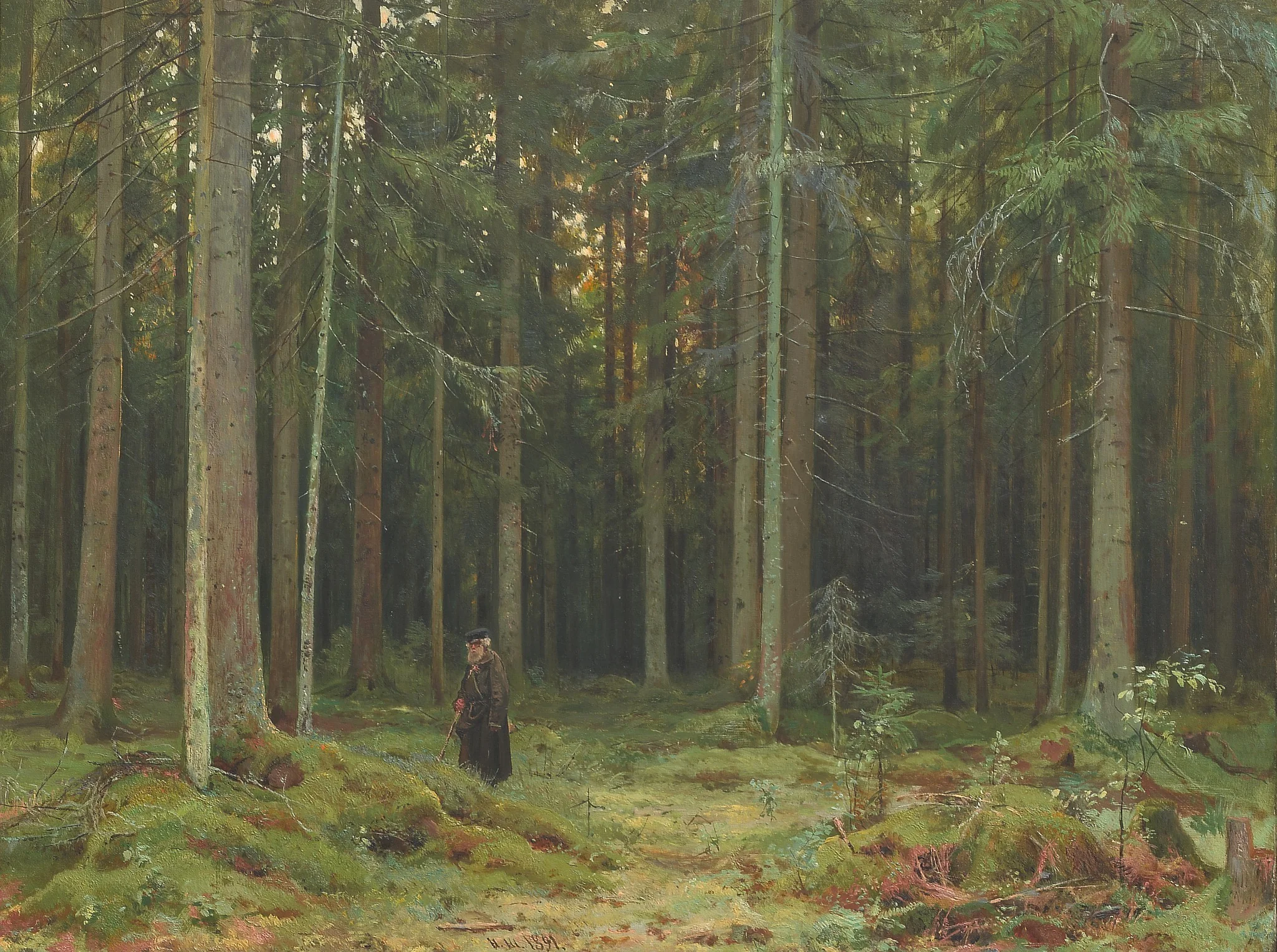 Countess Mordvinova's Wood. Peterhof