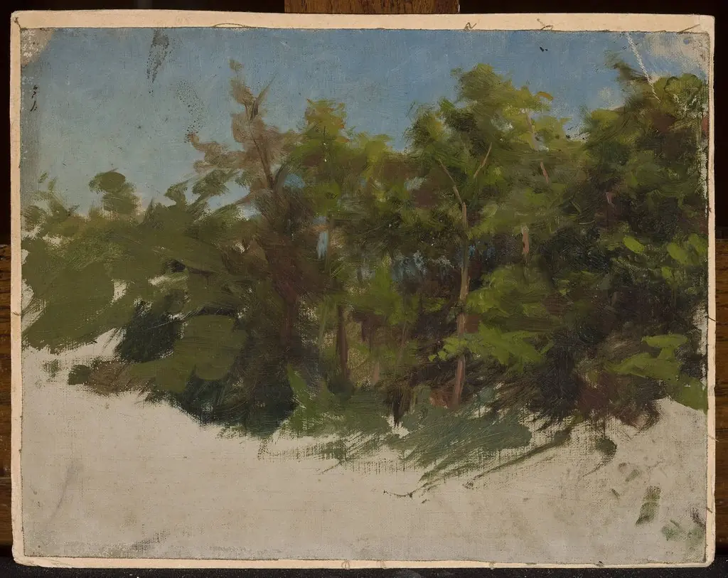 Study from Podolia