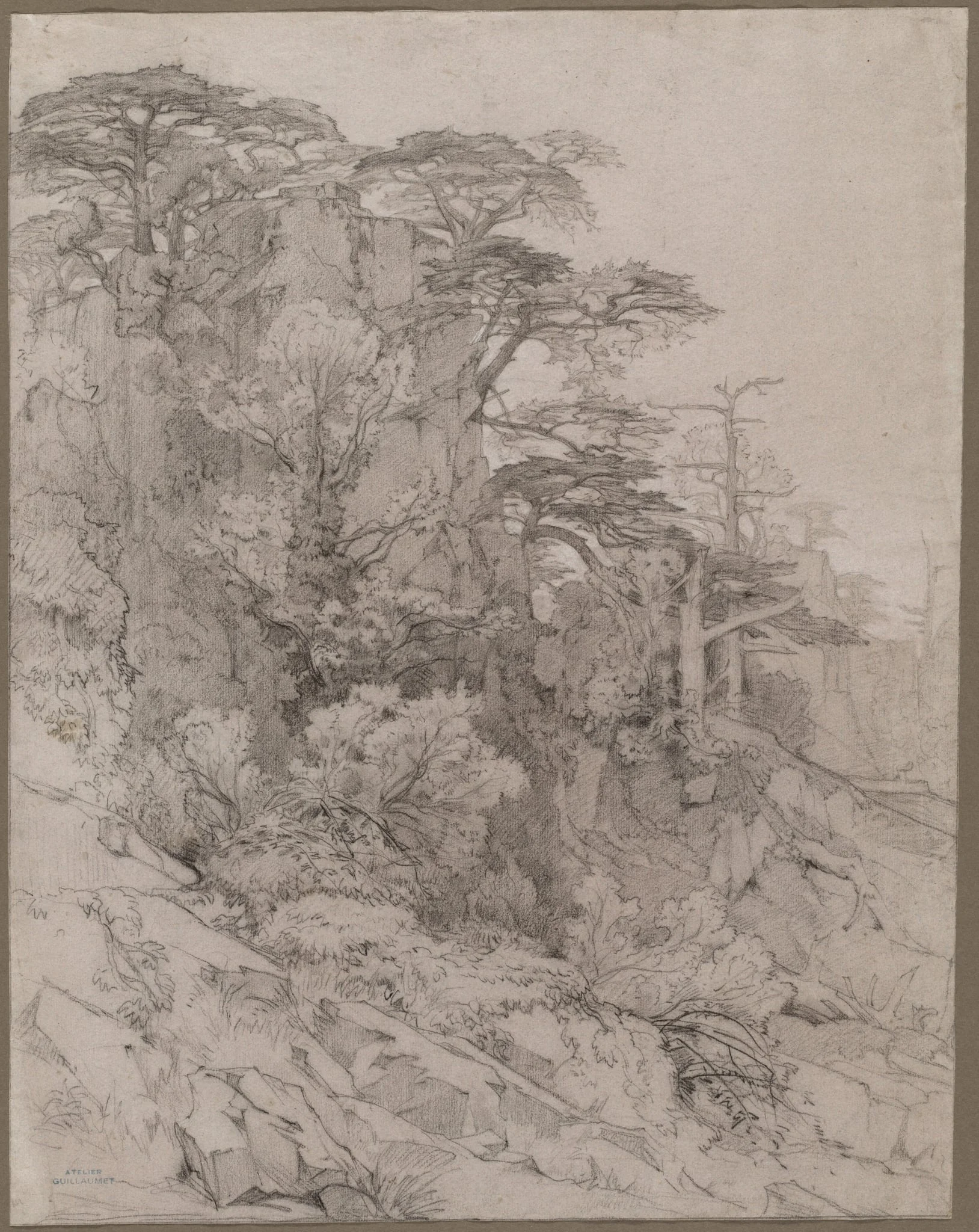 Trees of a Rocky Hillside