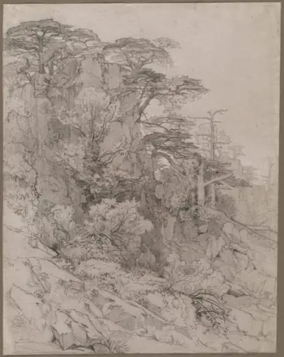 Trees of a Rocky Hillside