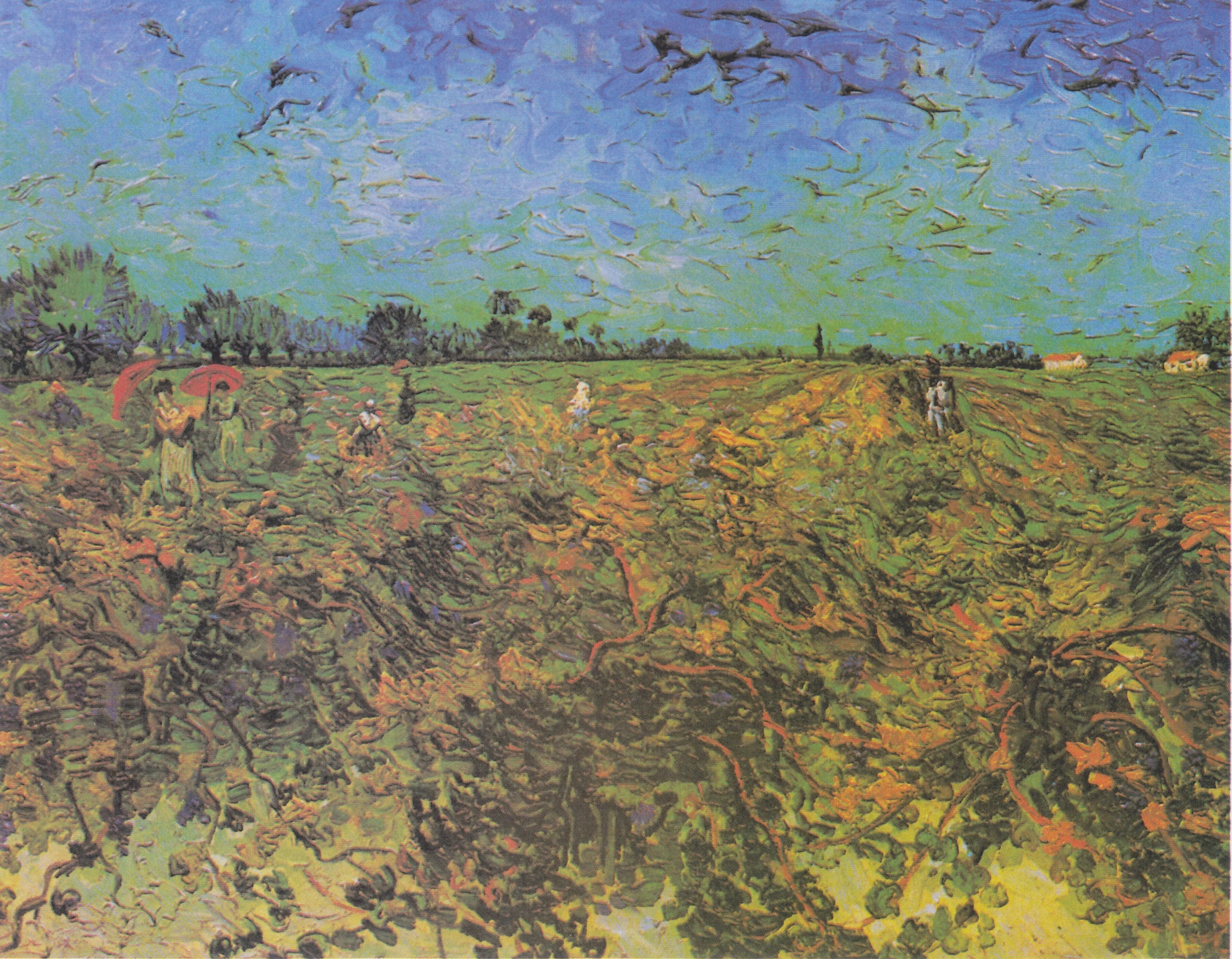 The green vineyard, by Vincent van Gogh, oil, 1888