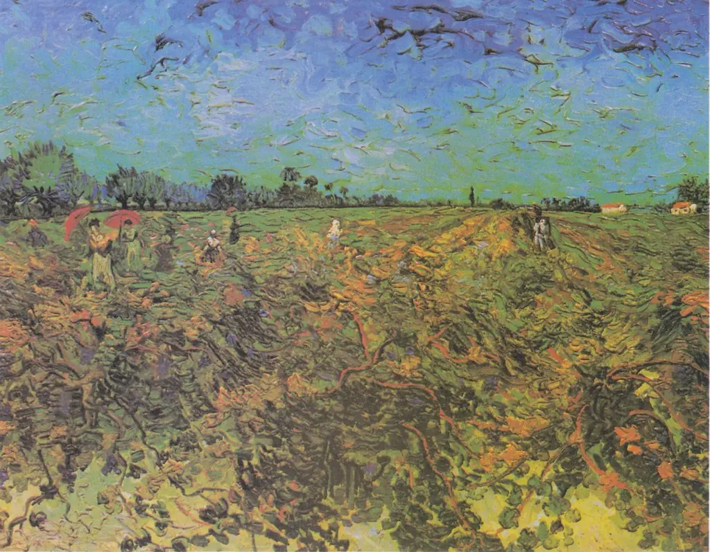 The green vineyard