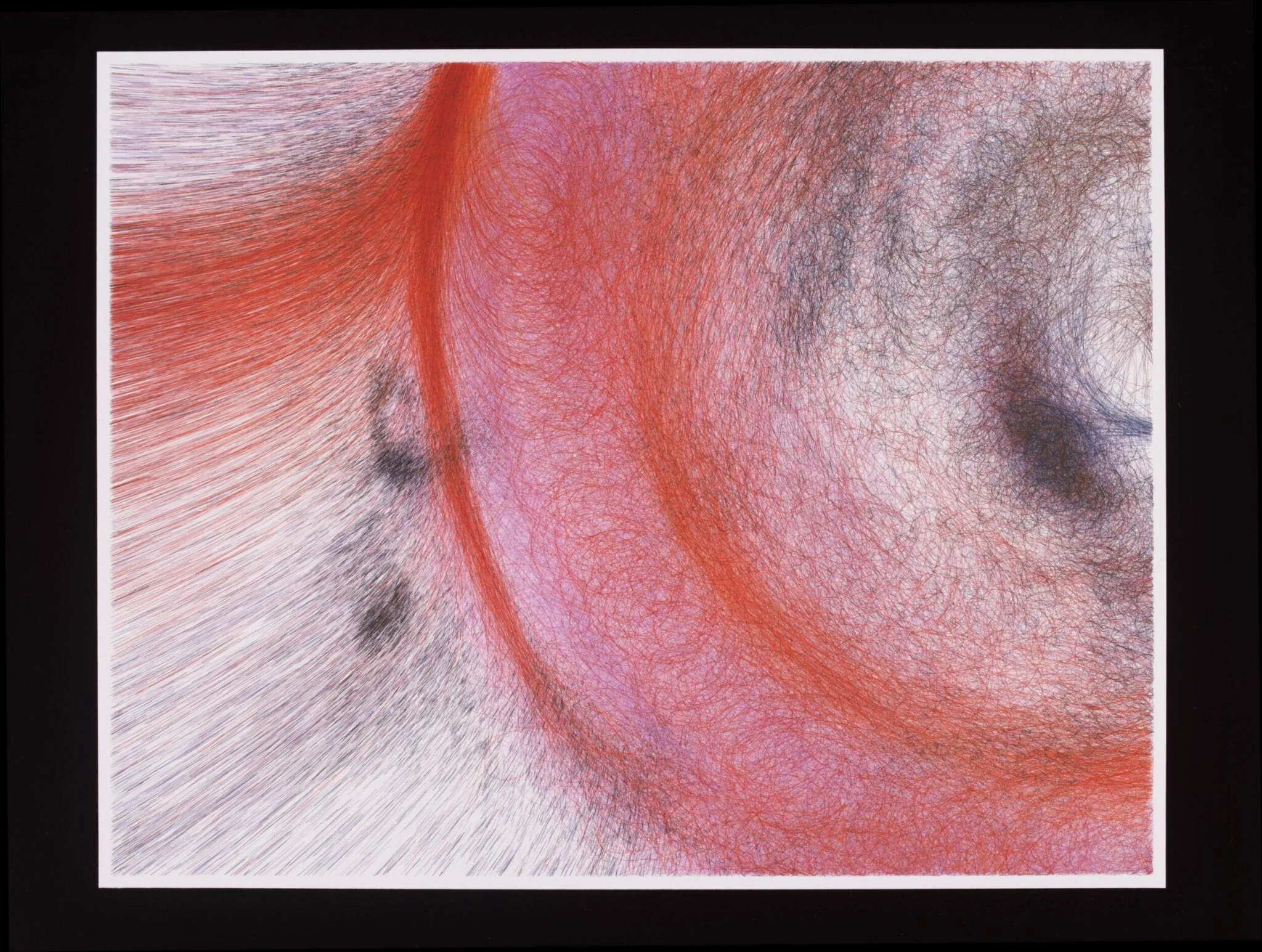 MicroImage, by Casey Reas, 2002