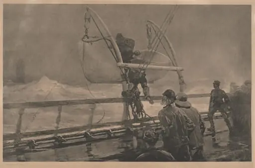 The Signal of Distress
