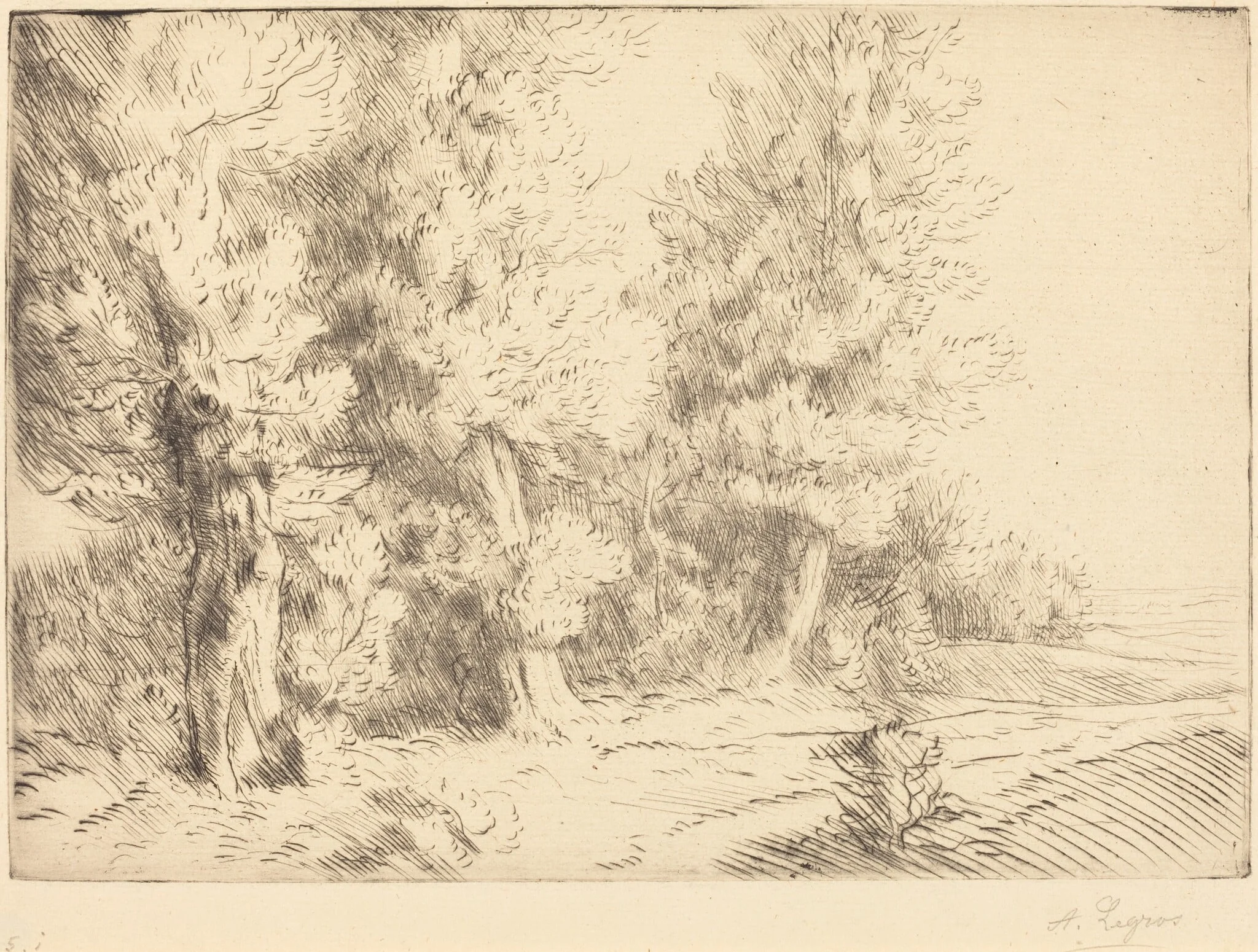 In the Forest of Fontainebleau  (Dans la foret de Fontainebleau)