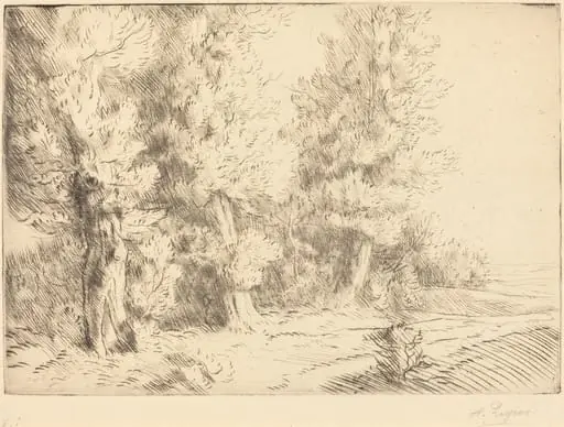 In the Forest of Fontainebleau  (Dans la foret de Fontainebleau)