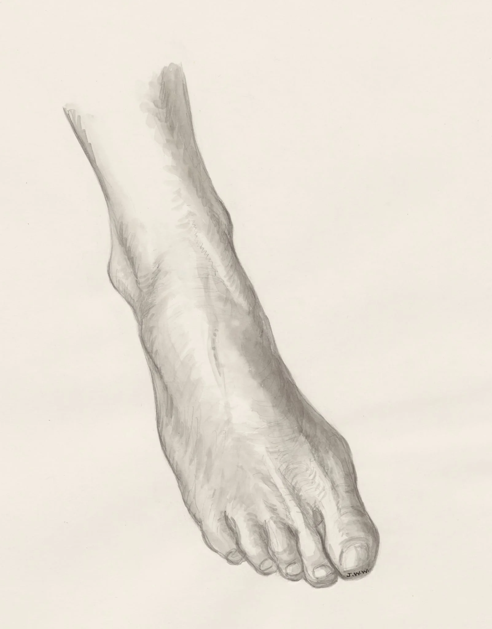 Right foot