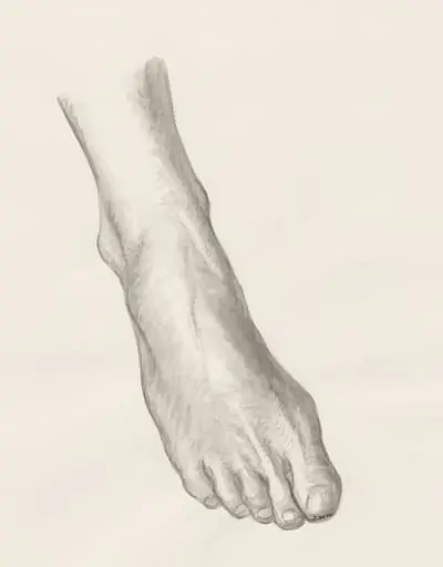 Right foot