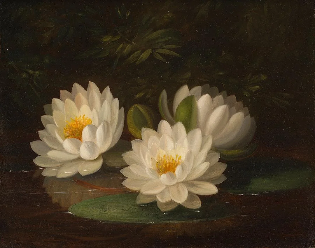 Water Lilies, by Paul Lacroix, unspecified, 1865